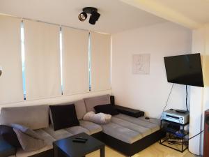 un soggiorno con divano e TV a schermo piatto di Apartment Leone Umag a Umag (Umago)