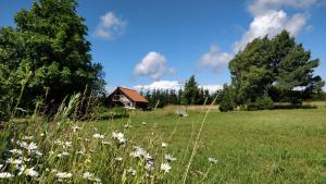 Loodusmaastik külalistemaja lähedal