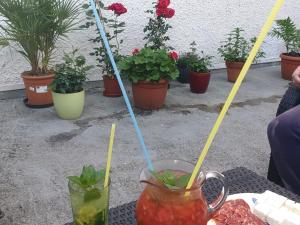 una mesa con dos bebidas y algunas plantas en Pension Engel, en Pfullendorf