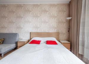 バラシハにあるApartment Hanaka Nosovihinskoe 27のベッドルーム1室(赤い枕2つ付)