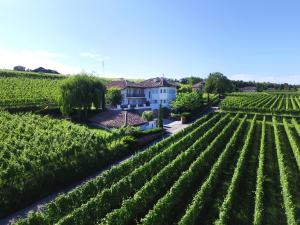 Vonkajšia záhrada v ubytovaní Weinhof Mumelter