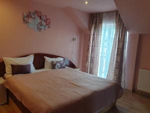 Un dormitorio con una cama grande y una ventana en Pensiunea Vila Dana, en Cluj-Napoca