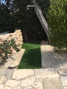 un parche de hierba verde en un jardín en Villa Anna Maria, en Bahía de Coral