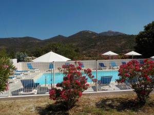 a swimming pool with chairs and umbrellas and flowers at Hotel Cinque Arcate in Galeria