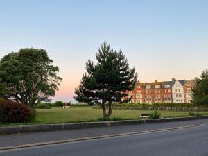 a tree in front of a large building at 15 Grosvenor in Hastings