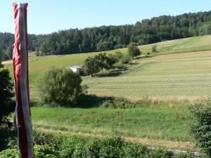 an american flag in the middle of a field at Brands Appartement in Ober-Nauses
