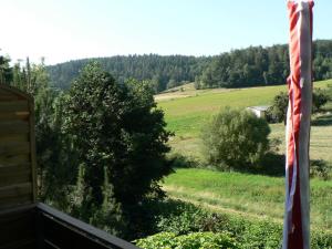 an american flag flying in a field with a tree at Brands Appartement in Ober-Nauses