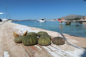 three melons sitting on top of a table near the water at Cvita apartments in Trogir