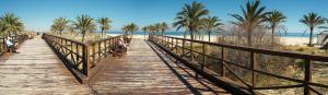a wooden boardwalk leading to the beach with palm trees at Hotel Mavi in Gandía