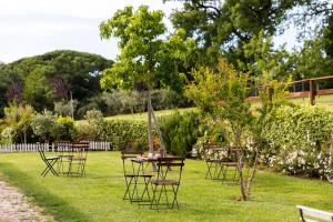 a group of tables and chairs in the grass at Agriturismo Braciami in Viterbo