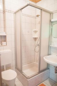 La salle de bains est pourvue d'une douche, de toilettes et d'un lavabo. dans l'établissement Pension Hartmann, à Sankt Kanzian