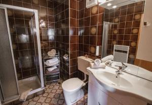 a bathroom with a toilet and a sink and a shower at Alpengasthof Eppensteiner in Navis