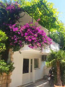 a house with purple flowers on the side of it at Apartments Irena in Bečići