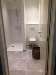 a small bathroom with a toilet and a shower at Le Lendemain in Lovendegem