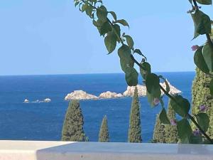 a view of the ocean from a villa at Apartments Silva in Dubrovnik