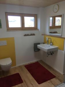 a bathroom with a sink and a toilet at Ferienwohnung Kapellenweg Bambergen bei Überlingen in Bambergen
