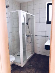 a bathroom with a shower and a toilet at Villa Anastasia in Costinesti +33 photos