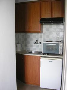 A kitchen or kitchenette at Akropolis studios