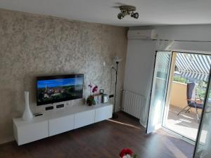 TV a/nebo společenská místnost v ubytování Apartmani Gržinić