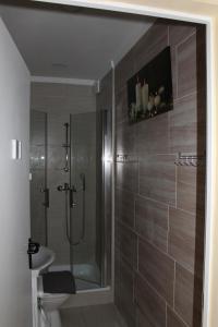 a bathroom with a shower and a toilet and a sink at Kirschbaum Apartment in Murau