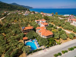 an aerial view of a house with a swimming pool at Hotel Thetis in Limenas