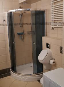a bathroom with a shower with a toilet and a sink at Klimatyczny Kołobrzeg in Kołobrzeg