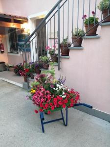 a vase filled with flowers sitting on top of a walkway at La vie est belle in Finale Ligure