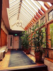 um corredor com vasos de plantas num edifício em Kellys Hotel em Dublin