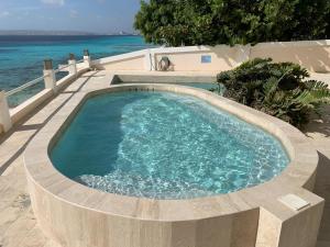 uma grande piscina com o oceano ao fundo em Bellevue Beach Apartment 5 em Kralendijk