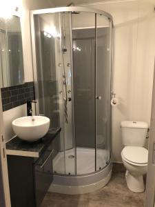 een badkamer met een douche, een wastafel en een toilet bij Studio Chaleureux Blois Centre in Blois