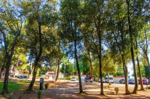 Zahrada ubytování Centinera Deluxe Mobile Homes