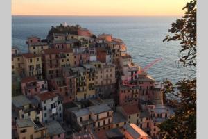 a group of buildings on a hill next to the ocean at Casa Oliva Cinque Terre in Manarola
