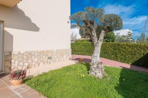 Ogród w obiekcie VILLA MANOLO DE L´ALZINA