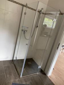 a shower with a glass door in a bathroom at Apartment 4 - Gourmetzimmer in Bestensee
