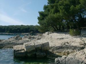 un bacino d'acqua con alcune rocce e alberi di Apartments Suha Punta - Crnic a Rab