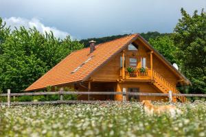 une maison en bois avec un chien devant elle dans l'établissement Ranch Jelov Klanac, à Rakovica