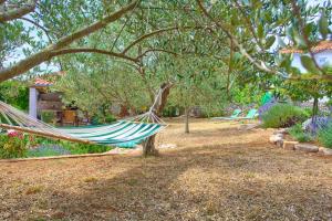 a hammock hanging from a tree in a garden at Holiday Home Lavanda in Kornić