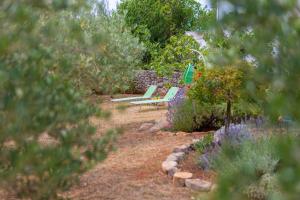 two green benches sitting in a garden with flowers at Holiday Home Lavanda in Kornić