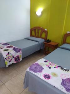 two beds in a room with green walls at Apartamentos Las Arenas in Playa del Ingles