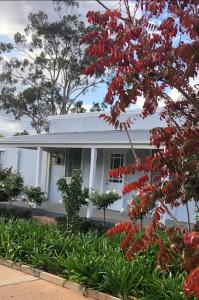 una casa blanca con flores rojas delante en The Rested Guest 3 Bedroom Cottage West Wyalong, en West Wyalong