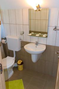 La salle de bains est pourvue d'un lavabo, de toilettes et d'un miroir. dans l'établissement Arnota, à Costeşti