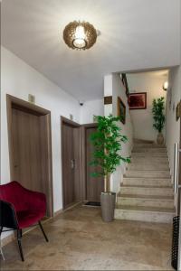 a hallway with stairs and a potted plant and a chandelier at Apartment L Palace in Budva