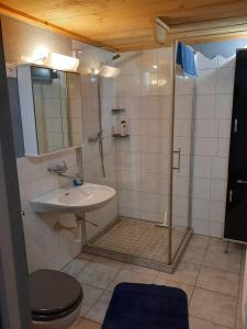 a bathroom with a shower with a sink and a toilet at Berner Oberland in Därligen
