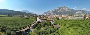 un pueblo en un viñedo con montañas en el fondo en Residence La Colombera, en Riva del Garda