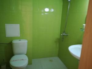 a green bathroom with a toilet and a sink at Krasi Apartments in Perla Complex in Pomorie