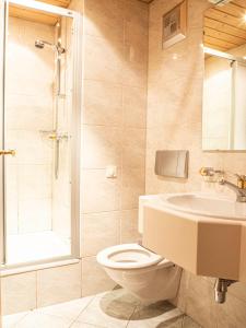 W łazience znajduje się toaleta, prysznic i umywalka. w obiekcie Gasthof zum Gellnwirt w mieście Tamsweg