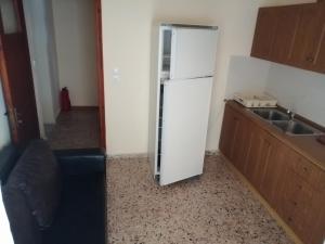 Kuchyň nebo kuchyňský kout v ubytování Ο Ακλόνητος