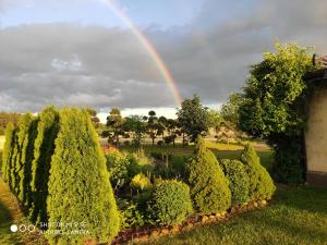 a rainbow over a garden with trees and bushes at Agroturystyka Leśny Dworek in Biały Bór