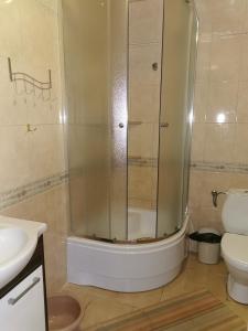 a bathroom with a shower and a toilet at Czerwonki agroturystyka u Beaty in Czerwonki