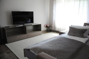 ein Wohnzimmer mit einem Flachbild-TV und einem Sofa in der Unterkunft Ferienzimmer Ellisee, kontaktloser Check-in in Friedrichshafen